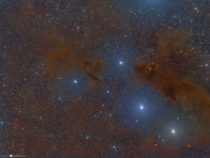 B228 - Dark Wolf Nebula