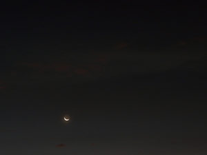Luna, Venus y J�piter (30/11)