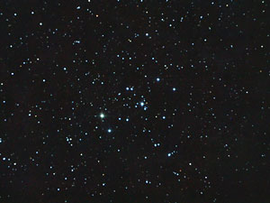 NGC 2239 :: Sur Astron�mico