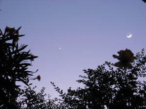 Luna y Venus :: Sur Astronmico