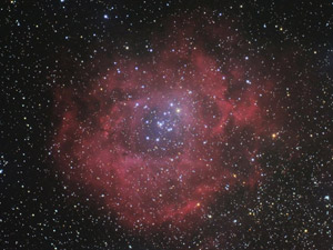 NGC 2237 - Nebulosa Rosetta