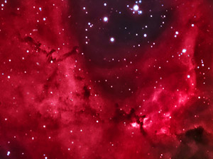NGC 2238 :: Sur Astronmico