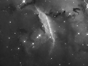 NGC 6559 :: Sur Astronmico