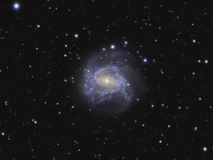 M 83 :: Sur Astron�mico