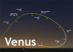 Venus en 2018